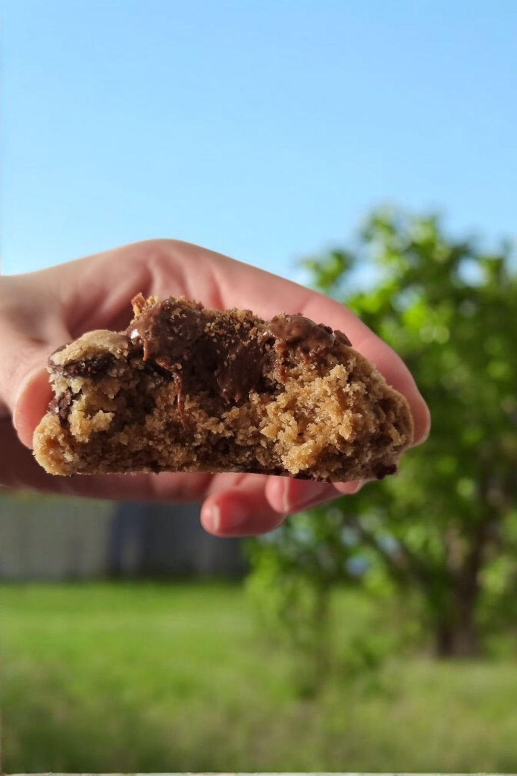 Box "Douce Folie" 12 Cookies
