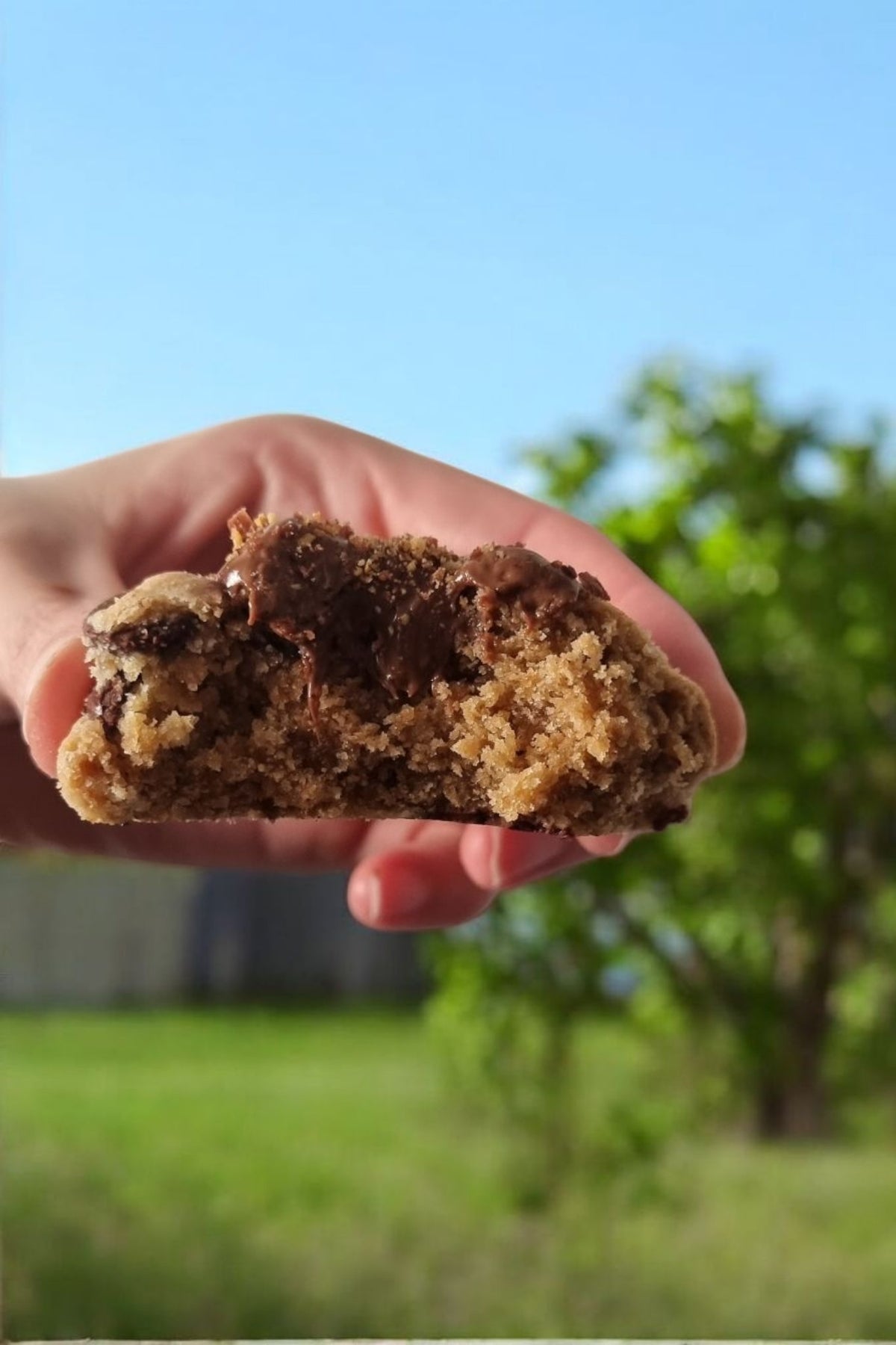 Box "Douce Folie" 12 Cookies